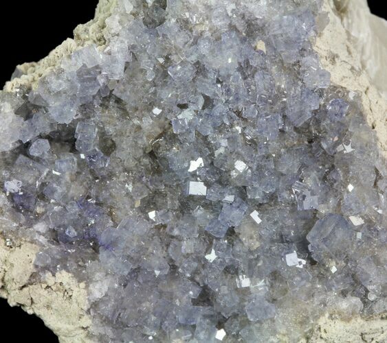 Purple/Gray Fluorite Cluster - Marblehead Quarry Ohio #81185